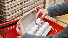 В Руспродсоюзе назвали условие для стабилизации цен на яйца